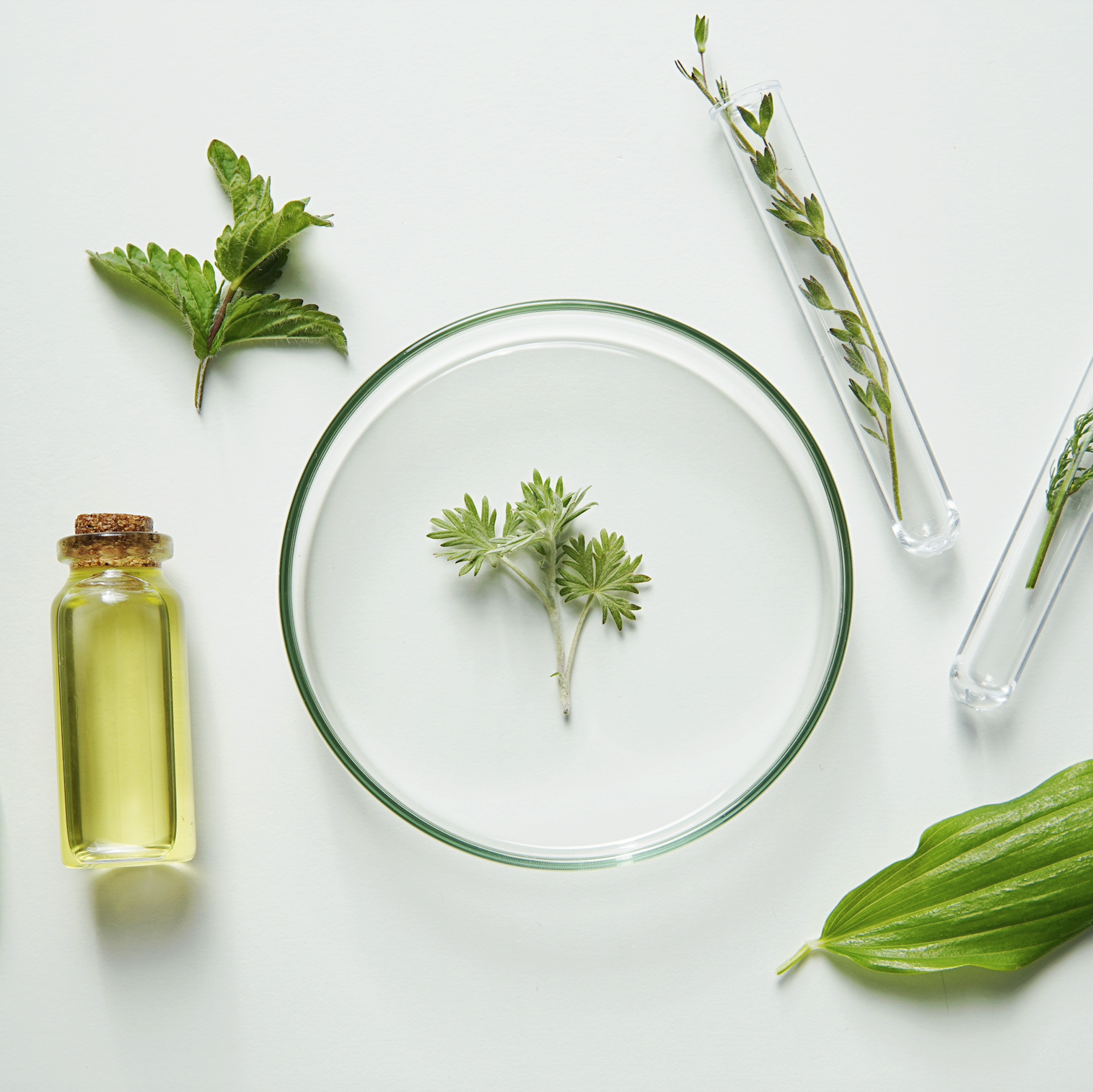 Produktlinie pure
